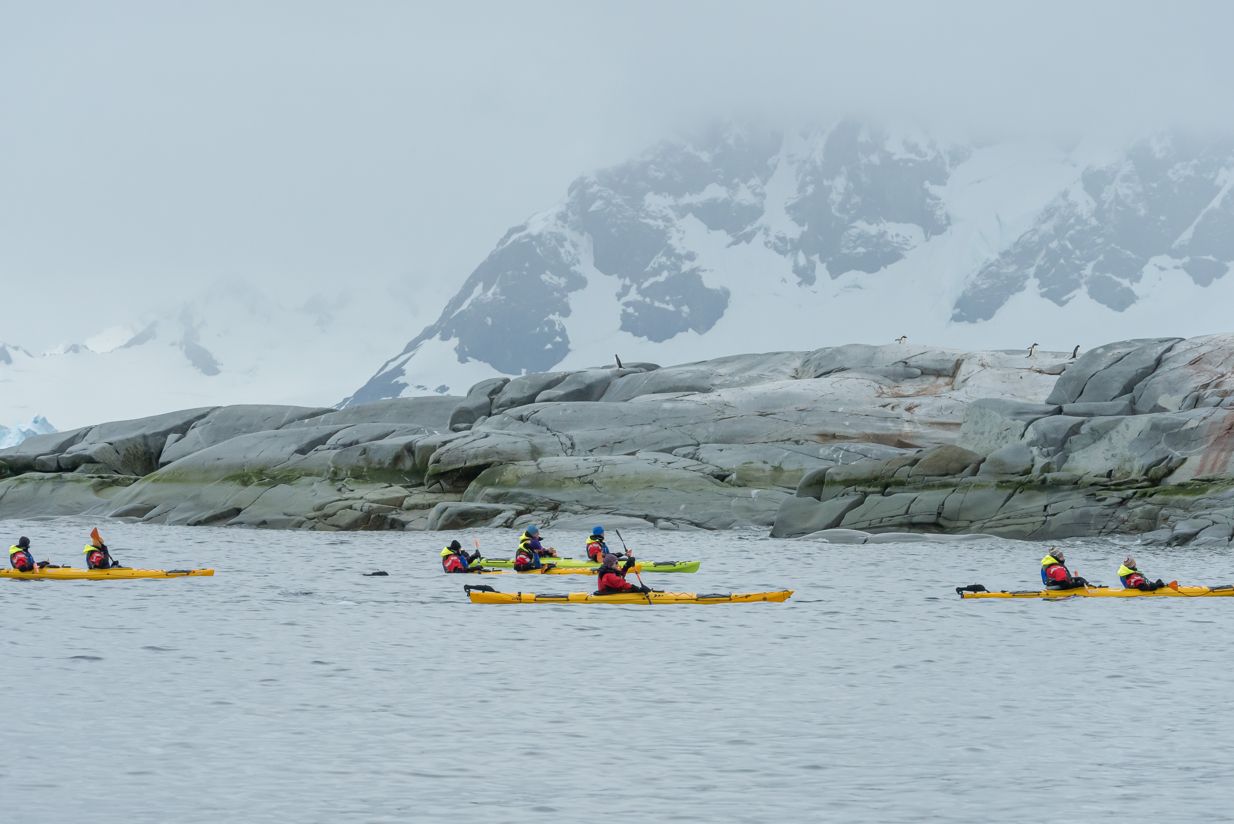 Excursions on SH Diana